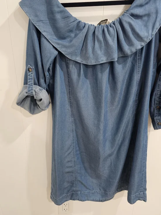 Anthropologie Chambray Ruffle Collar Shift Dress M Blue Lyocell Boho Minimalist - Picture 5 of 10